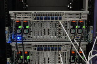 Server Aisa - Basic back
